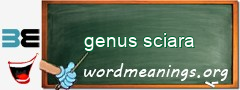 WordMeaning blackboard for genus sciara